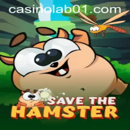 Discover the Excitement of 